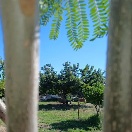 בית נופש Belamandil Garden ,family Holidays ,caminho Do Torrejao Olhão