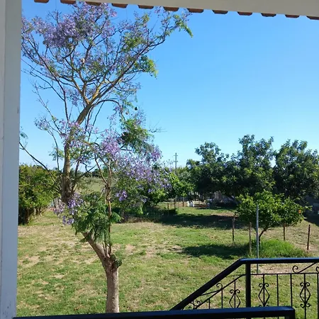Belamandil Garden ,family Holidays ,caminho Do Torrejao בית נופש *