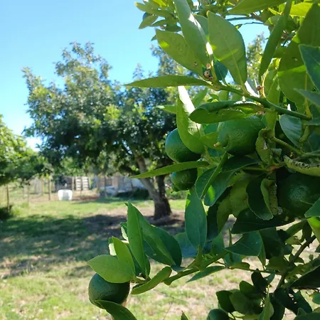 Belamandil Garden ,family Holidays ,caminho Do Torrejao